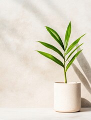 Poster - Scandinavian Eco Decor Minimalist Ceramic Pot with Sprouting Plant on Textured Surface - Sustainable Interior Design and Green Marketing Visuals for Modern Home Concepts