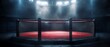 Empty boxing ring in dimly lit arena.