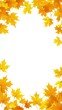 © DZIKRA  - Autumn maple leaves border frame