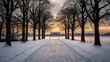 © Berkah1789 - Snowy path leading to a castle during a winter sunset