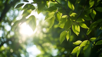 Aufkleber - Close Up View of Green Leaves with Sunlight Filtering Through in a Lush Forest Setting : Generative AI