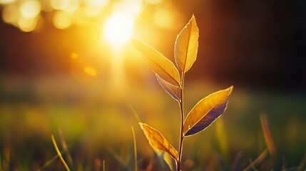 Aufkleber - New Leaf Growth in the Sunlight Signifying Renewal and Nature's Beauty : Generative AI