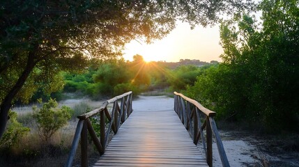 Aufkleber - Wooden footbridge in a serene natural setting illuminated by sunlight creating a peaceful pathway in the wilderness : Generative AI