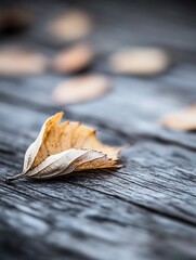 Poster - Close Up of a Dry Autumn Leaf Resting on a Textured Wooden Surface Highlighting Natural Beauty : Generative AI