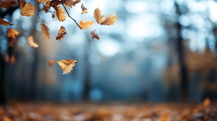 Poster - Beautiful autumn scene with falling leaves and a soft blurred background in a serene forest : Generative AI