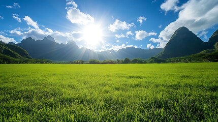 Aufkleber - Vibrant Green Field Underneath a Bright Sunlit Sky with Mountains and Clouds Creating a Stunning Natural Landscape : Generative AI