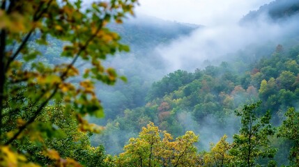 Poster - Scenic View of Lush Green Mountains Shrouded in Misty Fog in Autumn : Generative AI