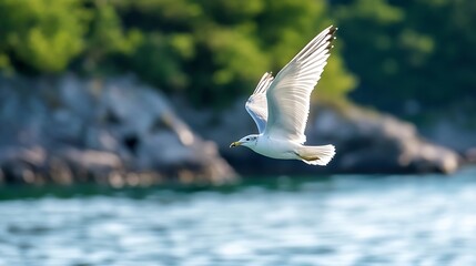 Poster - Seagull in flight catching a snack over a tranquil blue sea : Generative AI