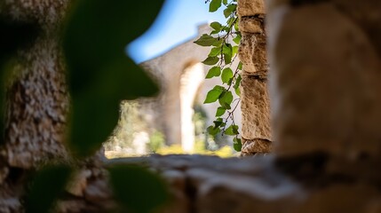 Aufkleber - Exploring Historic Ruins Framed by Lush Green Vines in Soft Sunlight : Generative AI