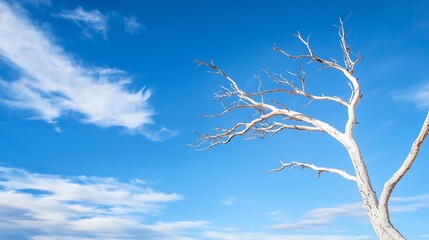 Aufkleber - Barren Tree Against a Bright Sky with Wispy Clouds in a Beautiful Natural Landscape : Generative AI