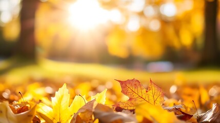 Poster - Close Up of Autumn Leaves with Soft Light and Warm Tones Creating a Cozy and Inviting Atmosphere : Generative AI