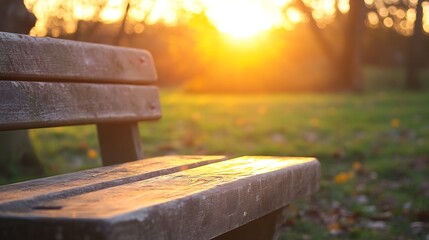 Poster - Warm golden sunlight shining through trees illuminating a rustic wooden bench in a serene park : Generative AI