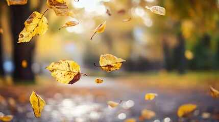 Poster - Colorful Autumn Leaves Falling Gently on Sunlit Ground in Serene Park Setting : Generative AI