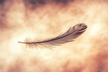 Poster - delicate feather floating gracefully in soft blurred background