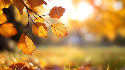 Aufkleber - Golden Autumn Leaves Shining in Natural Light with Soft Background : Generative AI