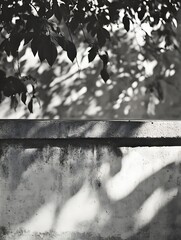 Poster - Artistic Shadow Play on a Weathered Wall Capturing Nature's Intricate Patterns : Generative AI