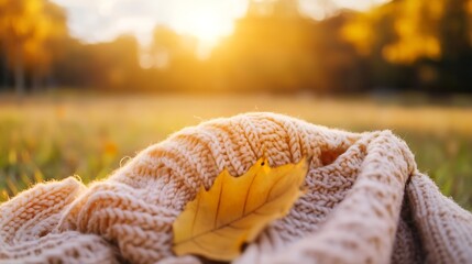 Aufkleber - Warm knitted sweater with autumn leaf placed on it in a golden sunlight setting on a crisp fall day : Generative AI