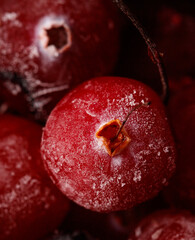 Wall Mural - A close up of a red fruit with a small hole in the center