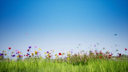 Vibrant wildflowers bloom bright summer meadow sky blue breeze delicate petals nature beauty colorful flowers fresh green grass idyllic scene peaceful landscape