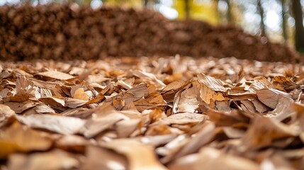 Poster - CloseUp View of Brown Autumn Leaves Piled on the Ground in Natural Environment : Generative AI