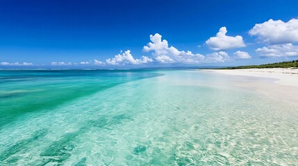 Poster - Stunning tropical beach with clear turquoise waters and bright blue sky with fluffy clouds : Generative AI