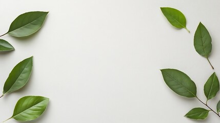 Poster - Fresh green leaves arranged artfully on a clean white background : Generative AI