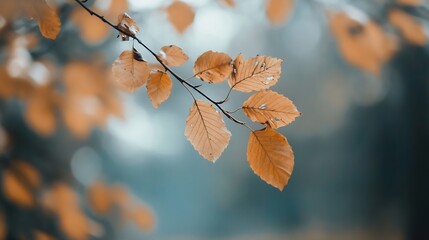 Aufkleber - Artistic closeup of autumn leaves on a branch glistening in soft natural light during fall : Generative AI