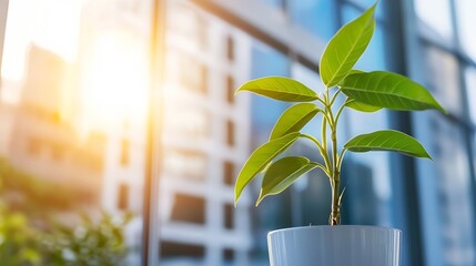 Poster - Indoor potted plant thriving in natural light with a modern building backdrop : Generative AI