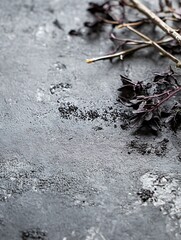 Aufkleber - Visually Stunning Close Up of Dried Dark Brown Flowers on Textured Grey Background : Generative AI