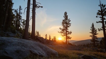 Aufkleber - Stunning sunset over a tranquil forest landscape with tall trees and rocky terrain capturing the beauty of nature : Generative AI