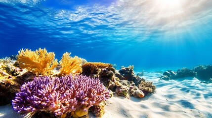 Poster - Vibrant underwater landscape showcasing colorful coral reef and clear blue water illuminated by sunlight : Generative AI