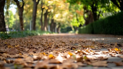 Poster - Autumn leaves covering a pathway in a peaceful park showcasing the colors of fall : Generative AI