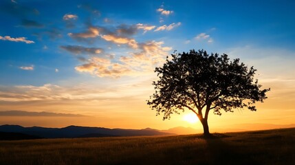 Poster - Lonely Tree Standing in a Field at Sunset with Colorful Sky and Landscape : Generative AI
