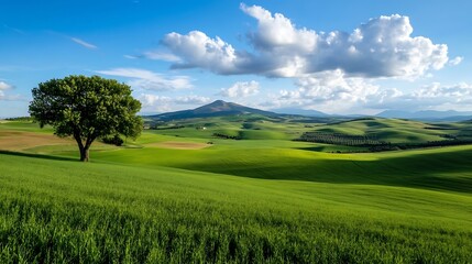 Aufkleber - Breathtaking green landscape with a solitary tree surrounded by rolling hills and dramatic clouds : Generative AI
