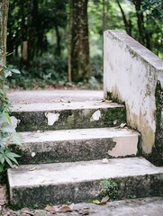 Poster - A pathway of mosscovered concrete steps nestled among lush greenery inviting exploration of nature : Generative AI