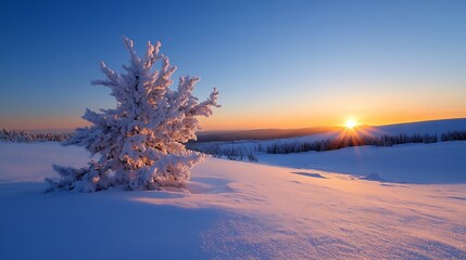Aufkleber - Snowy Tree Backlit by a Stunning Sunrise in a Frozen Winter Landscape : Generative AI