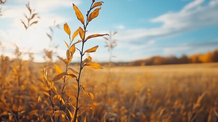 Aufkleber - Golden grass and delicate leaves swaying in the gentle breeze during a beautiful sunset in the countryside : Generative AI
