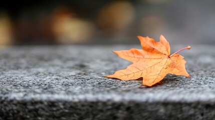 Aufkleber - Autumn leaf lying on a stone surface with blurred bokeh background creating a serene vibe : Generative AI
