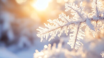 Poster - Frozen branches in a serene winter landscape catching sunlight beautifully during golden hour : Generative AI