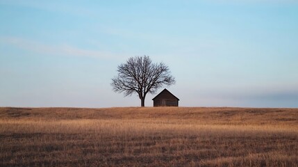 Poster - Lonely tree standing beside a rustic cabin on a vast golden field under a clear blue sky : Generative AI
