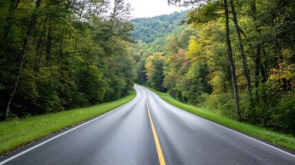Poster - Scenic view of an inviting forest road surrounded by colorful trees during autumn season : Generative AI