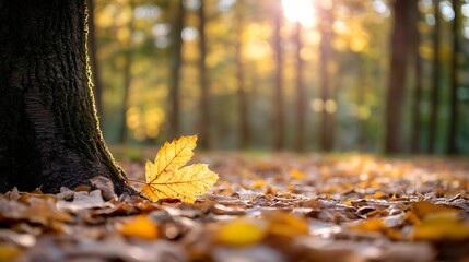 Poster - Golden Autumn Leaves on Forest Ground with Soft Sunlight Streaming Through Trees for Natural Beauty : Generative AI
