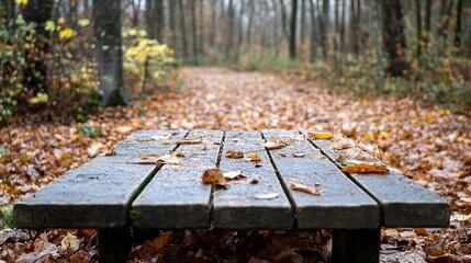 Poster - Picturesque view of a weathered wooden table surrounded by autumn leaves in a tranquil forest : Generative AI