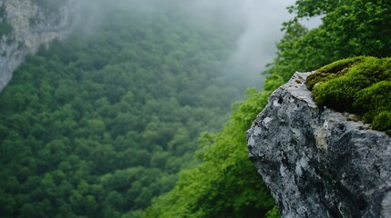 Aufkleber - Lush green forest landscape with rocky cliff and misty background showcasing natural beauty and tranquility : Generative AI