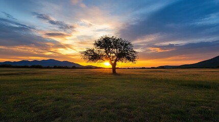 Poster - Stunning sunset scenic landscape with a solitary tree and majestic mountains creating a dramatic twilight atmosphere : Generative AI