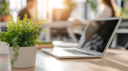 Aufkleber - Modern workspace with laptop and potted plant emphasizing productivity and calm atmosphere : Generative AI