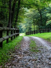 Poster - Serene winding path through green forest offering a peaceful escape into nature : Generative AI