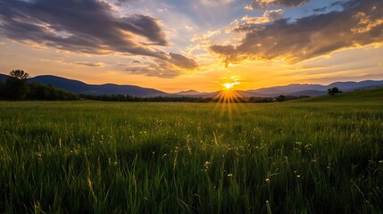 Aufkleber - Majestic sunset over green fields with rolling hills creating a stunning landscape of nature : Generative AI