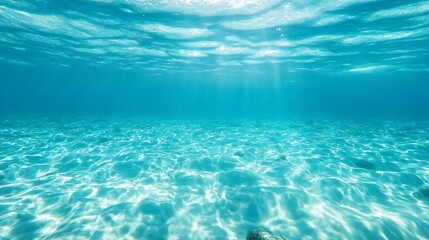 Poster - Beautiful underwater view showcasing sunlight filtering through clear ocean water : Generative AI