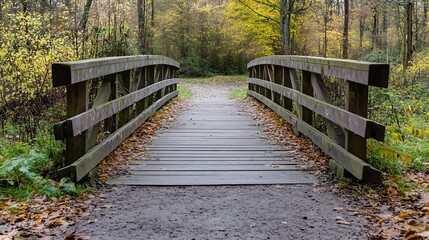 Poster - Serene wooden bridge arching over a peaceful forest path surrounded by autumn leaves and vibrant nature : Generative AI